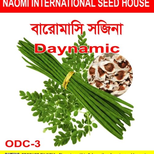 বারোমাসি  ODC 3 সাজনা NAOMI SEED