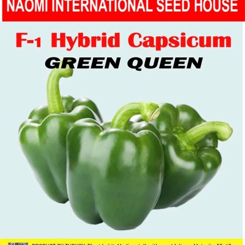 সবুজ ক্যাপসিকাম হাইব্রিড   Naomi seed