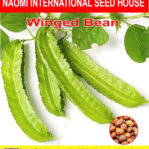কামরাঙ্গা সিম হাইব্রিড   Naomi seed