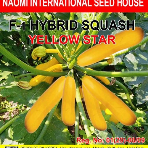 হলুদ স্কোয়াশ  হাইব্রিড  Naomi seed