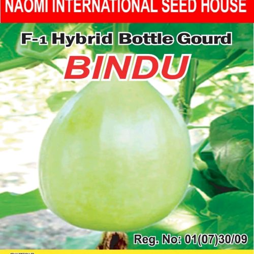 বিন্দু লাউ হাইব্রিড বারোমাসি  NAOMI SEED