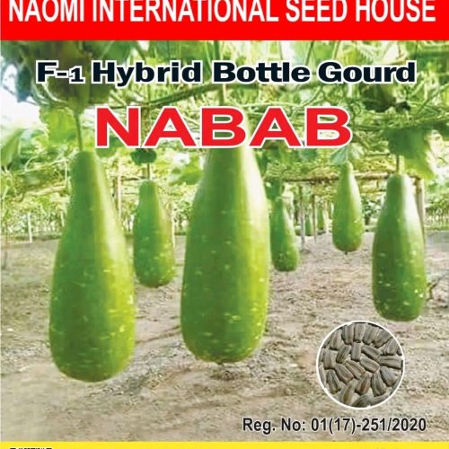 উচ্চ ফলনশীল নবাব লাউ NAOMI SEED