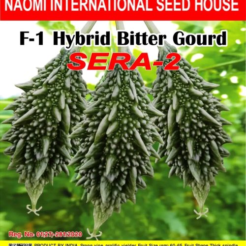 উস্তা করলা SERA-2 NAOMI SEED