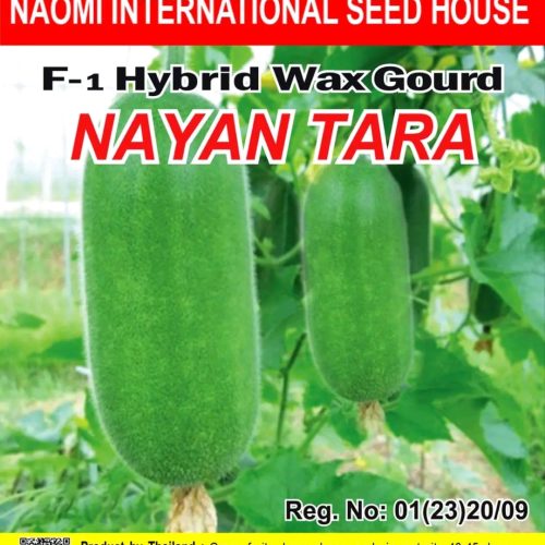 চাল কুমড়া হাইব্রিড NAYAN TARA NAOMI SEED