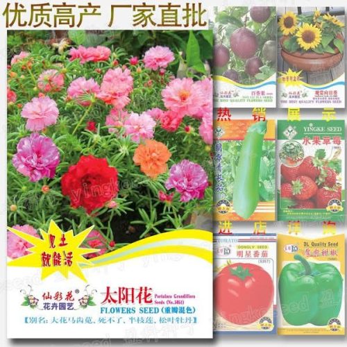 পুর্তুলিকা Portulaca Organic seed