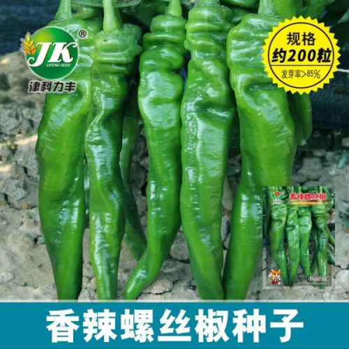 হাইব্রিড ক্যাপসিকাম  মরিচ  Organic Seed