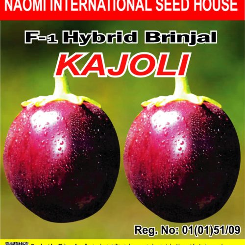 হাইব্রিড বারোমাসি তাল বেগুন NAOMI SEED
