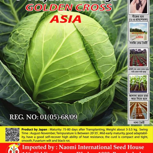 উচ্চ ফলনশীল বাঁধাকপি  ( Naomi Seed)