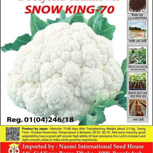 হাইব্রিড ফুলকপি NAOMI SEED - 70