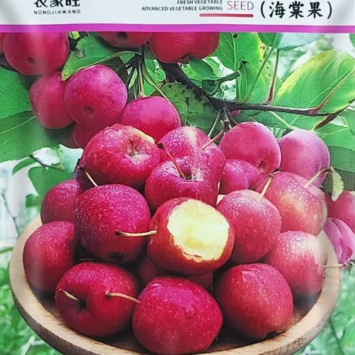চায়না বারোমাসি অ্যাপেল