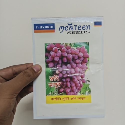 কাশ্মীরি সুমিষ্ট রবি আঙ্গুর