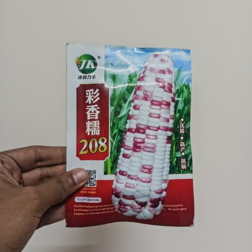 রঙিন মিষ্টি ভুট্টা