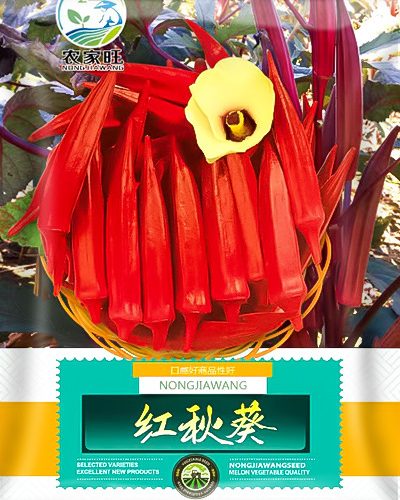 উচ্চ ফলনশীল চায়না লাল ঢেঁড়স