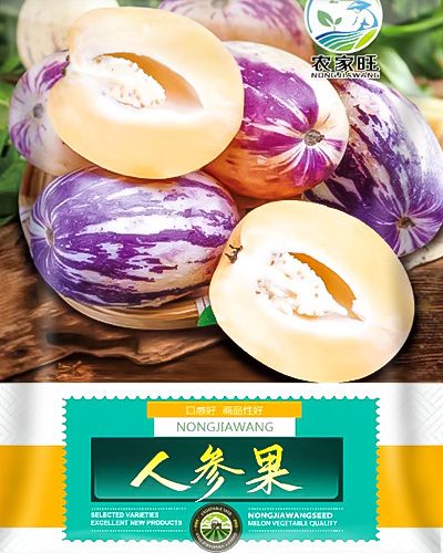 পেঁপেনো মেলন (PeninoMelon)  বারোমাসি উচ্চ ফলনশীল