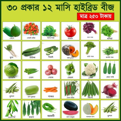 30 রকম  হাইব্রিড উচ্চ ফলনশীল বীজ  প্যাকেজ