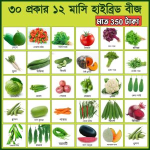 ৩০ রকম বীজের কম্বো প্যাকেজ
