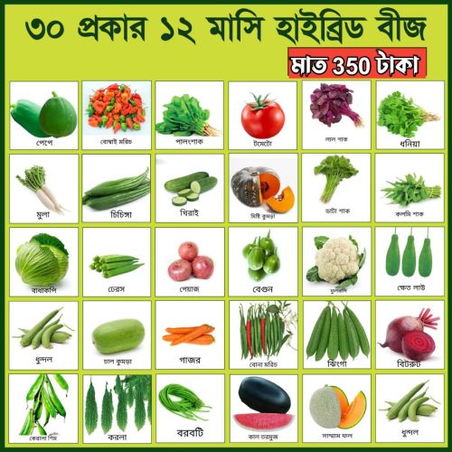 ৩০ রকম বীজের কম্বো প্যাকেজ